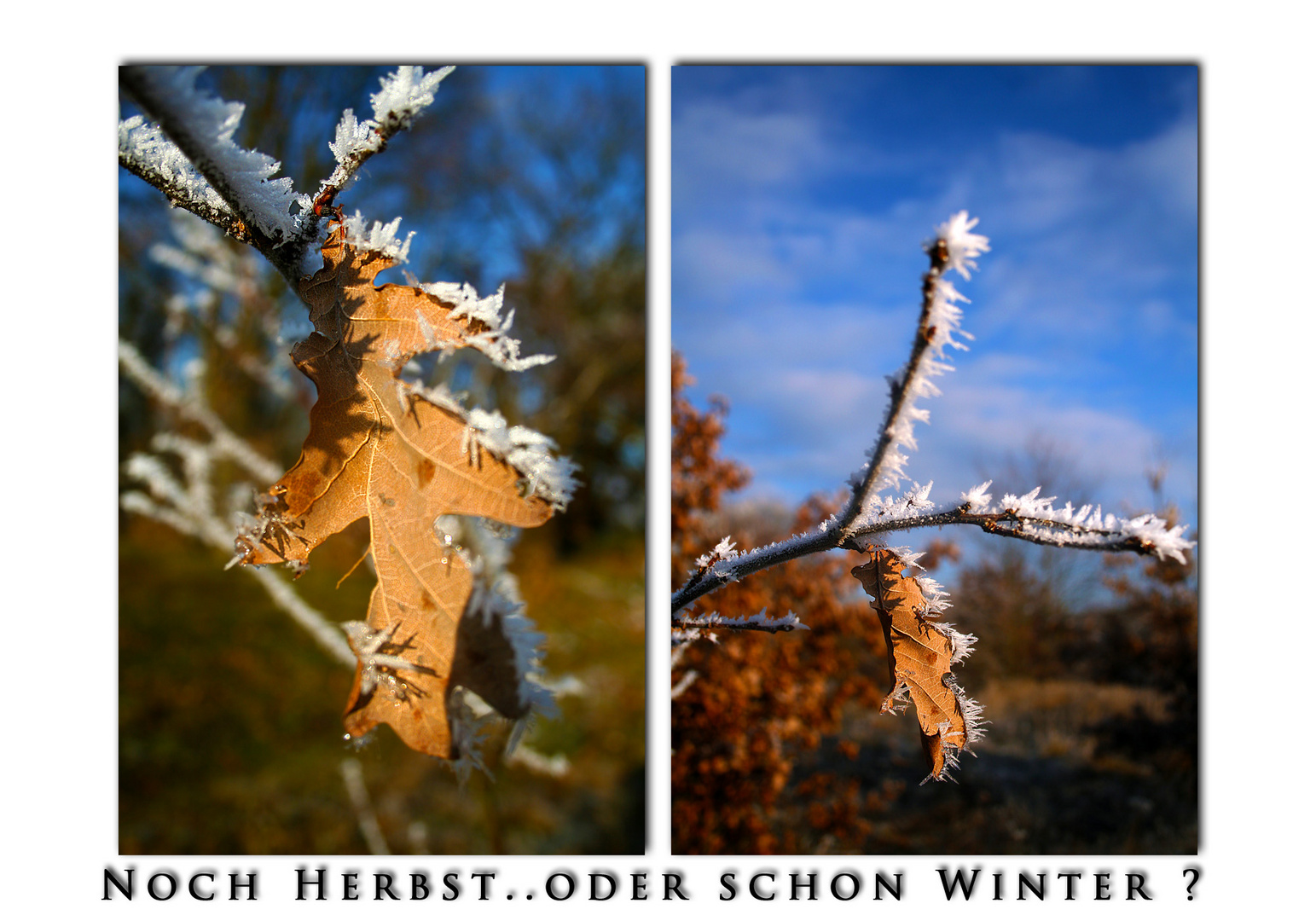 Noch Herbst..oder schon Winter ?