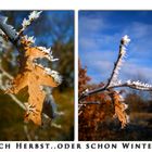 Noch Herbst..oder schon Winter ?