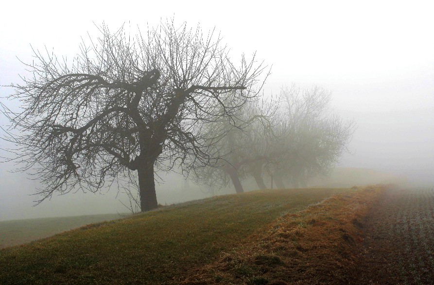 Noch im Nebel