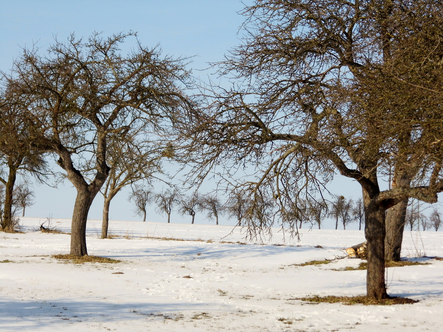 noch im Winterschlaf