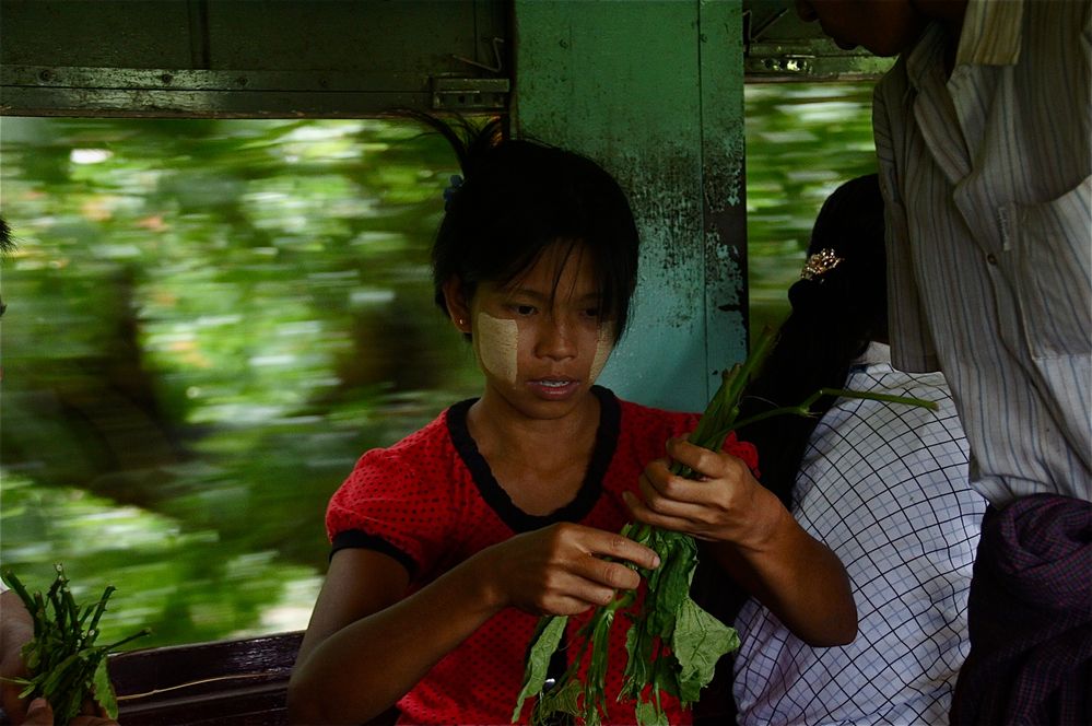 noch im zug wird das am großmarkt gekaufte gemüse verarbeitet, yangon 2011