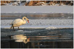 Noch immer Eiszeit