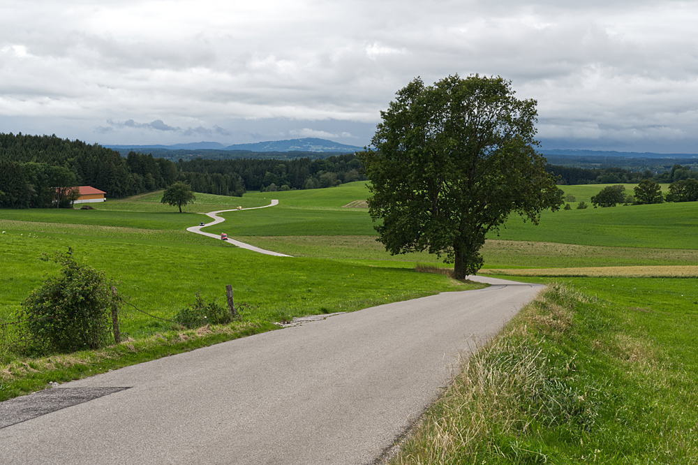 Noch immer gewunden