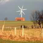 noch immer kein Frühling in Sicht...........