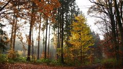 noch immer kunterbunt