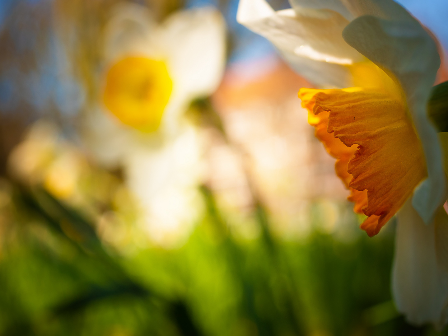 Noch immer Ostern