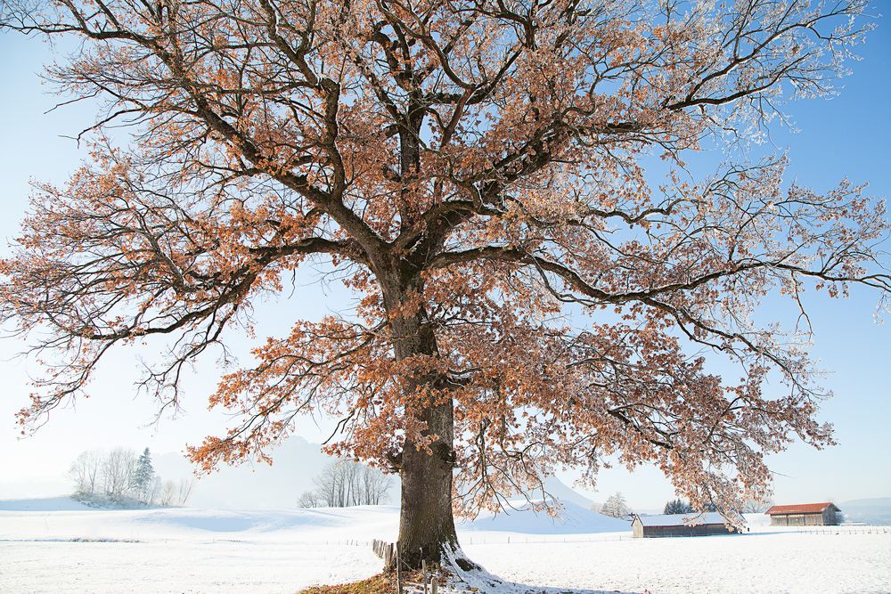 ...noch immer Schnee in den Bergen