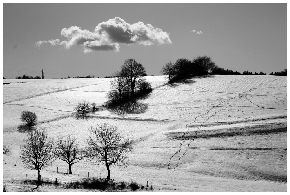 noch immer winter