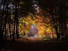 Noch ist der Herbst nicht vorbei