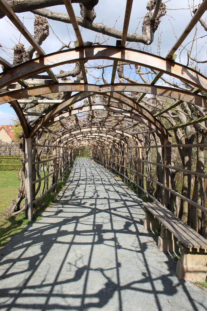 noch ist der Wandelgang im Park unbegrünt