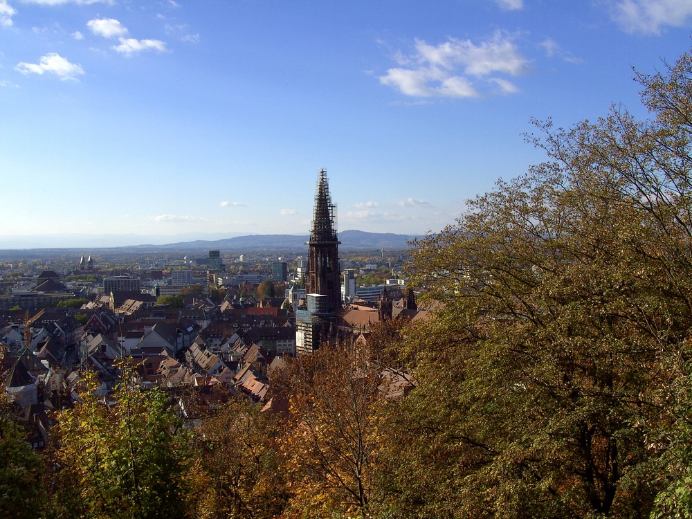 Noch ist die Münsterspitze eingerüstet.....