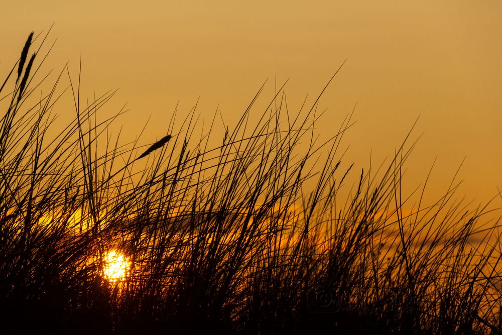 noch ist die Sonne zu sehen ...