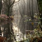 noch ist die Stör ein Bach