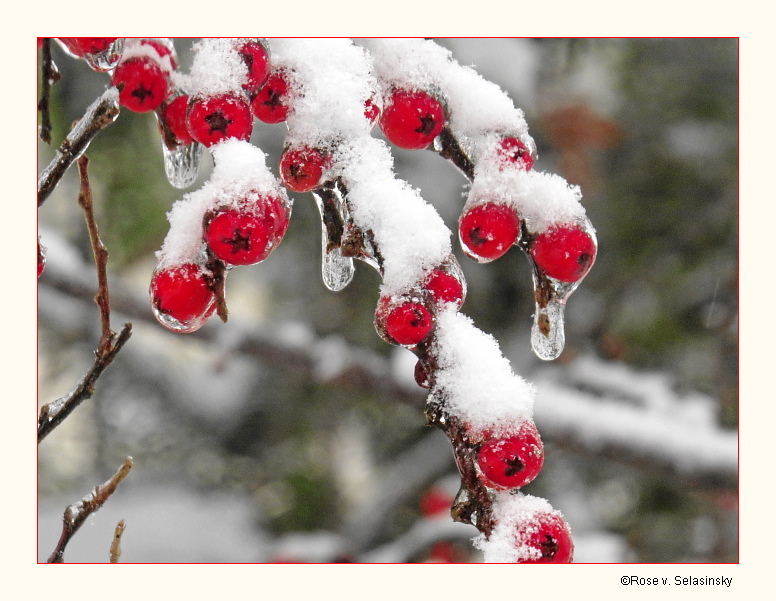 Noch ist "Eiszeit"