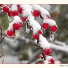 Noch ist "Eiszeit"