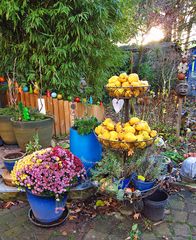 noch ist es bei mir bunt im Garten