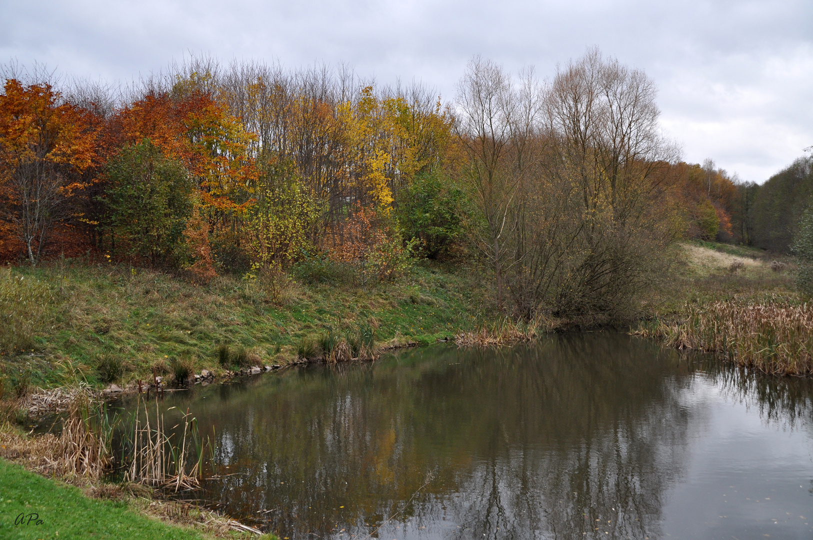 Noch ist es Herbst...