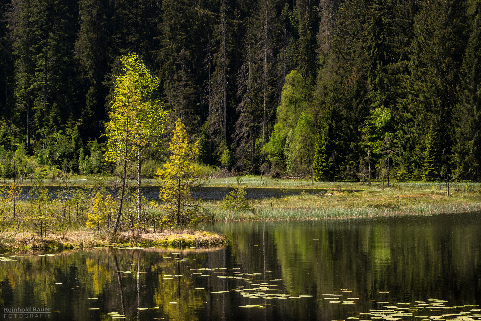 Noch ist es ruhig am Huzenbacher See. Die Morgensonne sorgt für ein warmes Licht am Karsee.