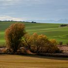 Noch ist Herbst