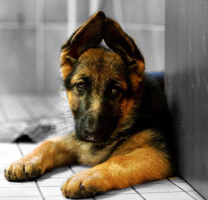 noch ist sie unsicher...