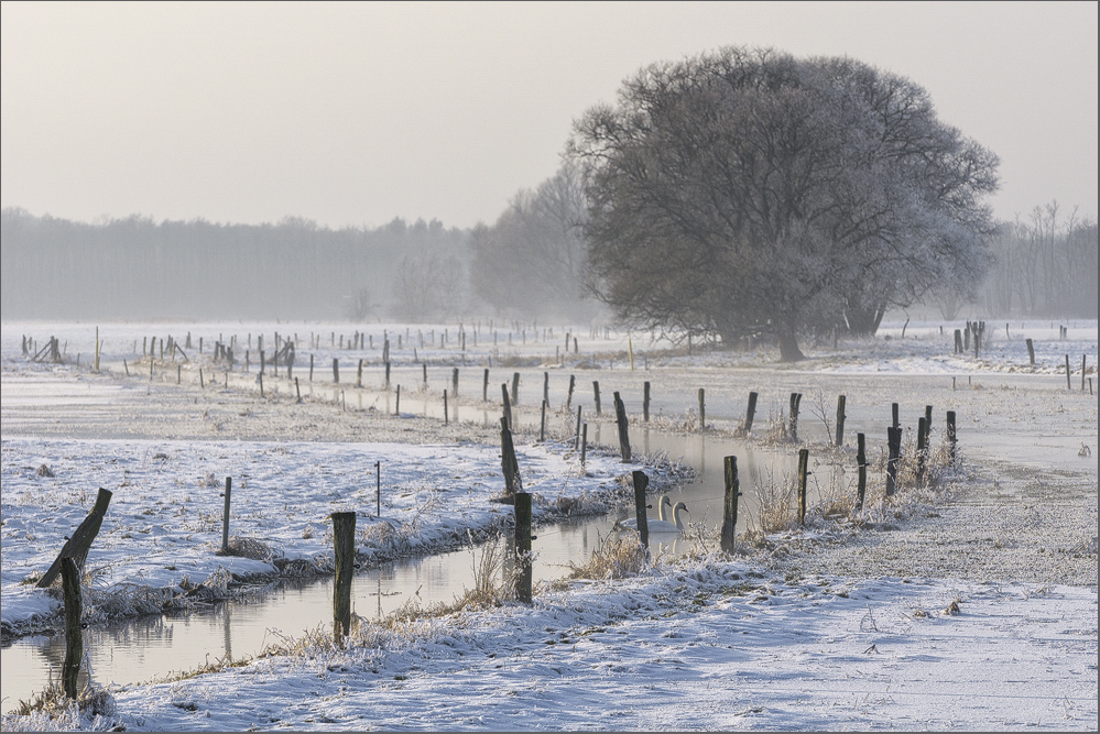 Noch ist Winter..