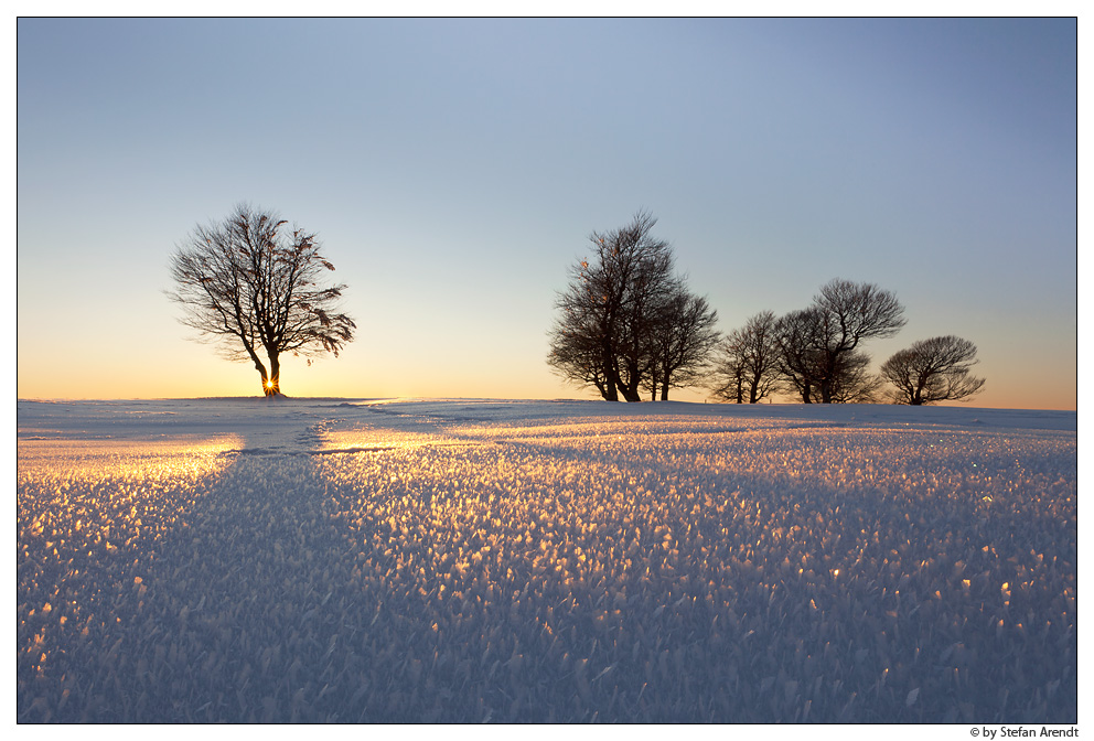 Noch ist Winter