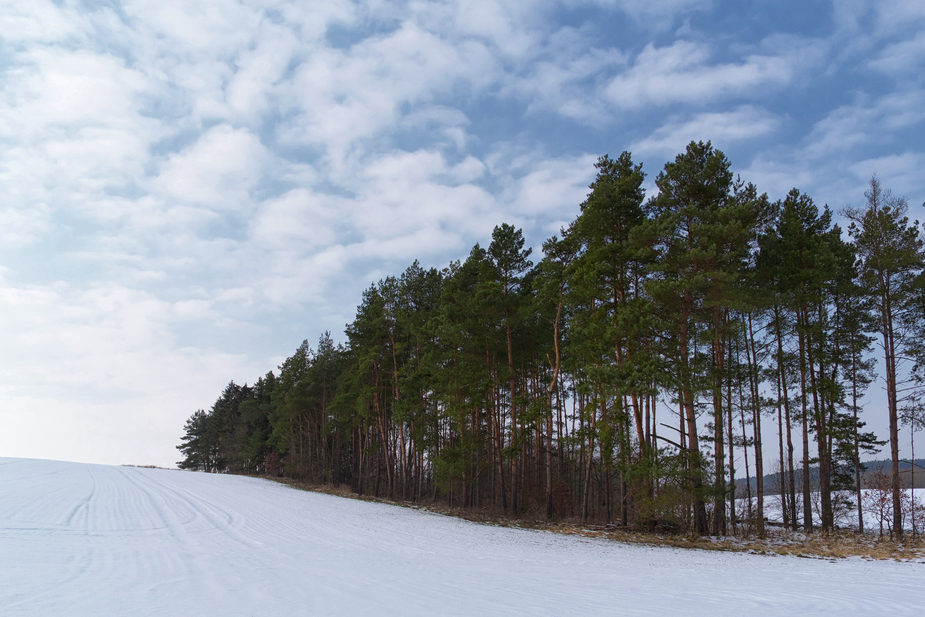 Noch ist Winter