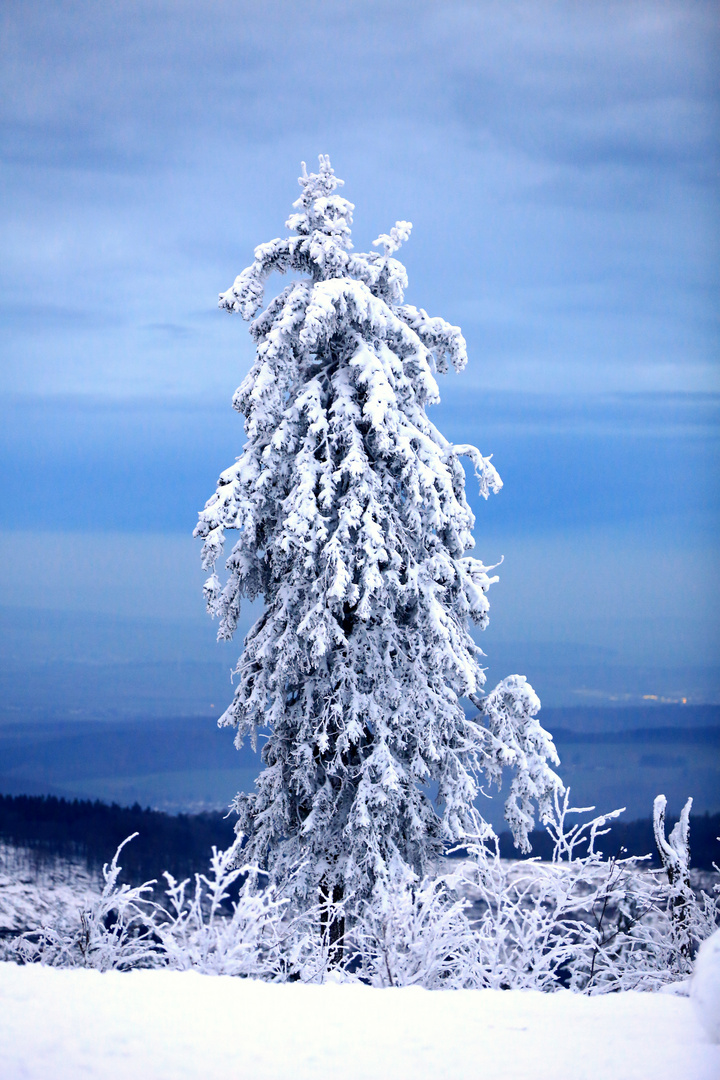 Noch ist Winter auf dem Feldberg