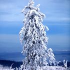 Noch ist Winter auf dem Feldberg