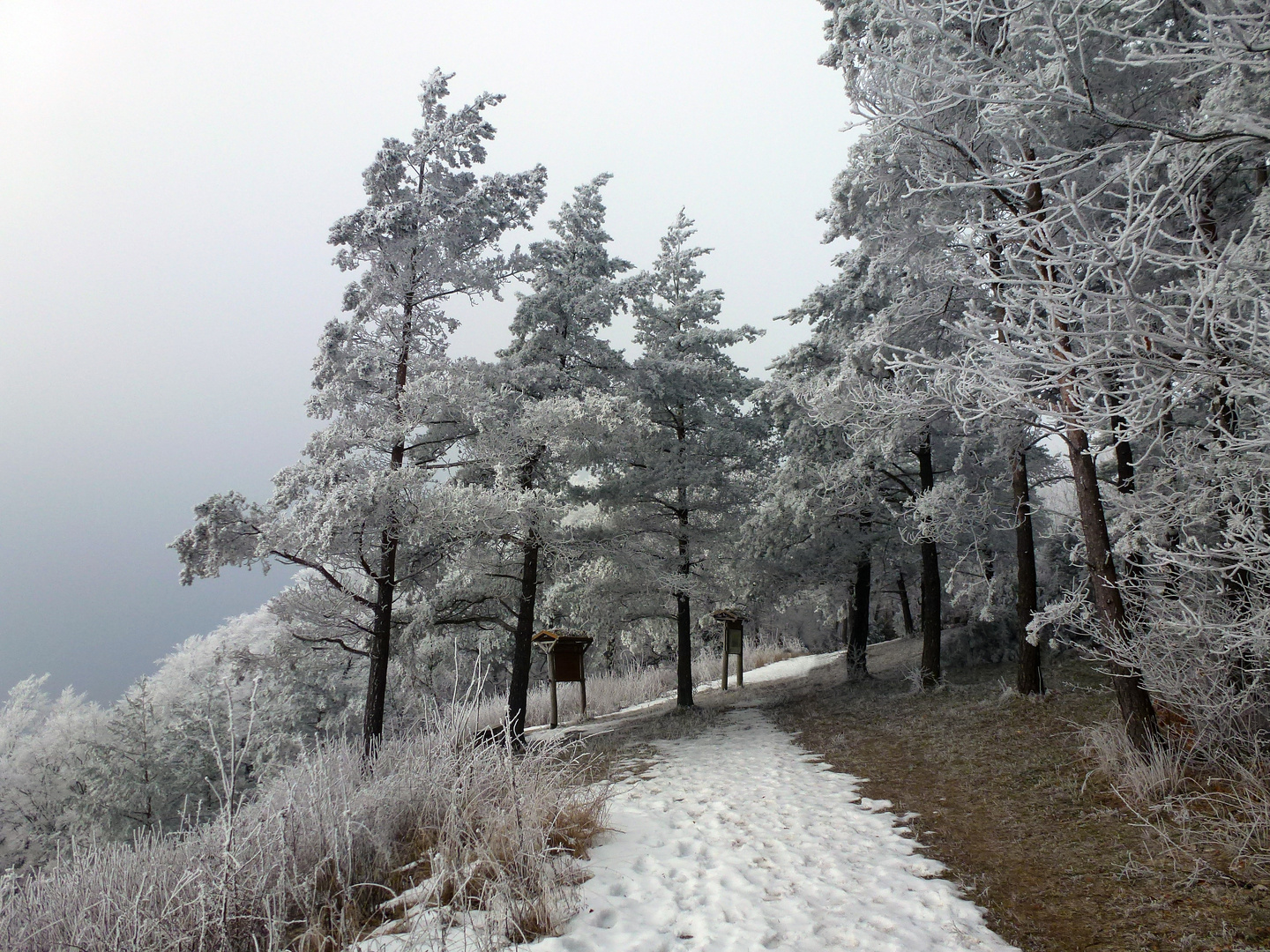 Noch ist Winter