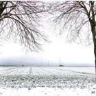 Noch kann man sich an dieser winterlichen Landschaft erfreuen !