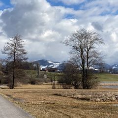 (noch) kein Blümchen