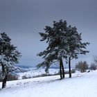 Noch kein Frühling in Sicht