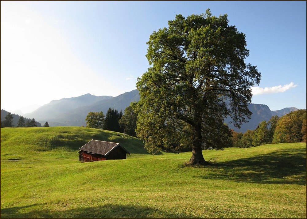 Noch kein Herbst am Kochelberg...