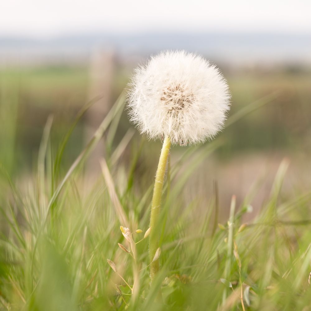 noch kein Wind