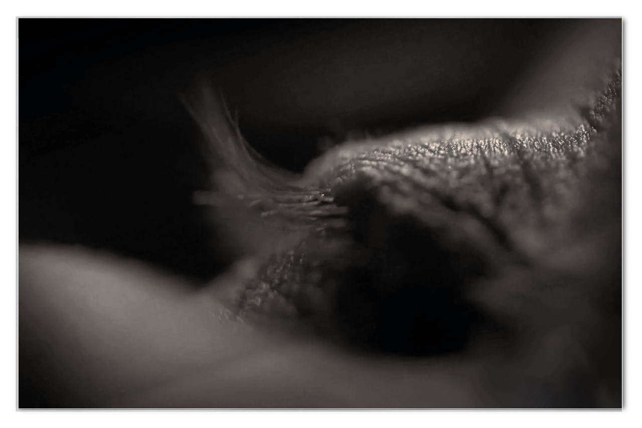 Noch knapp 5 Wochen ...