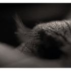 Noch knapp 5 Wochen ...