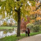 noch kurz vor dem Regen