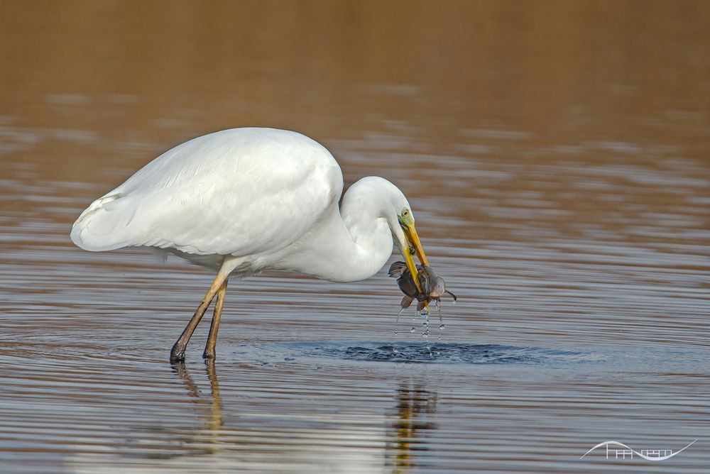 Noch kurz waschen