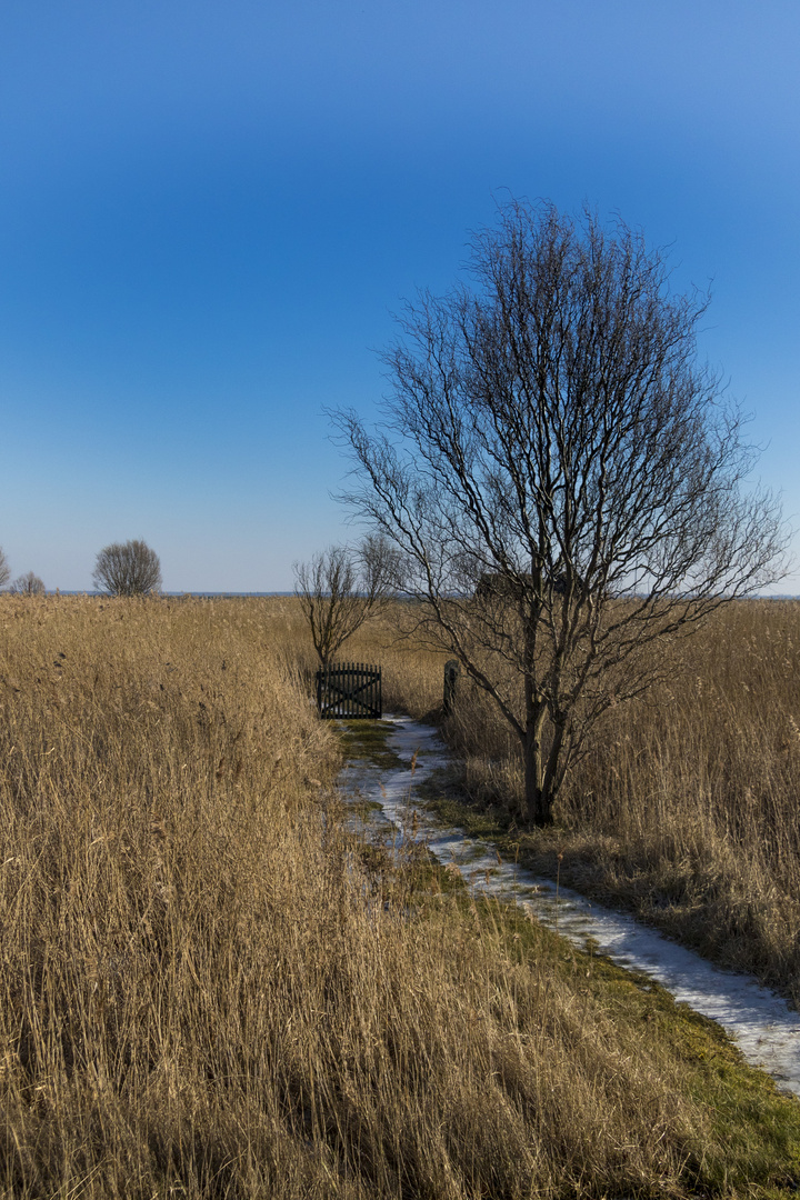 Noch lässt der Frühling auf sich warten