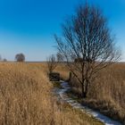 Noch lässt der Frühling auf sich warten