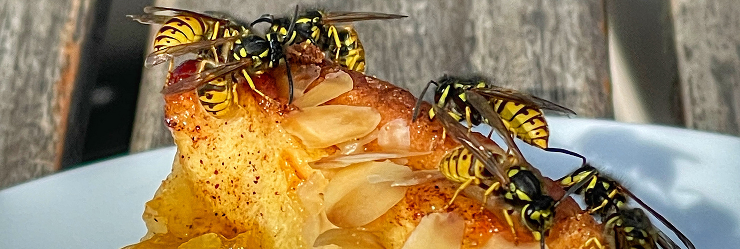 Noch lange kein Winterschlaf 