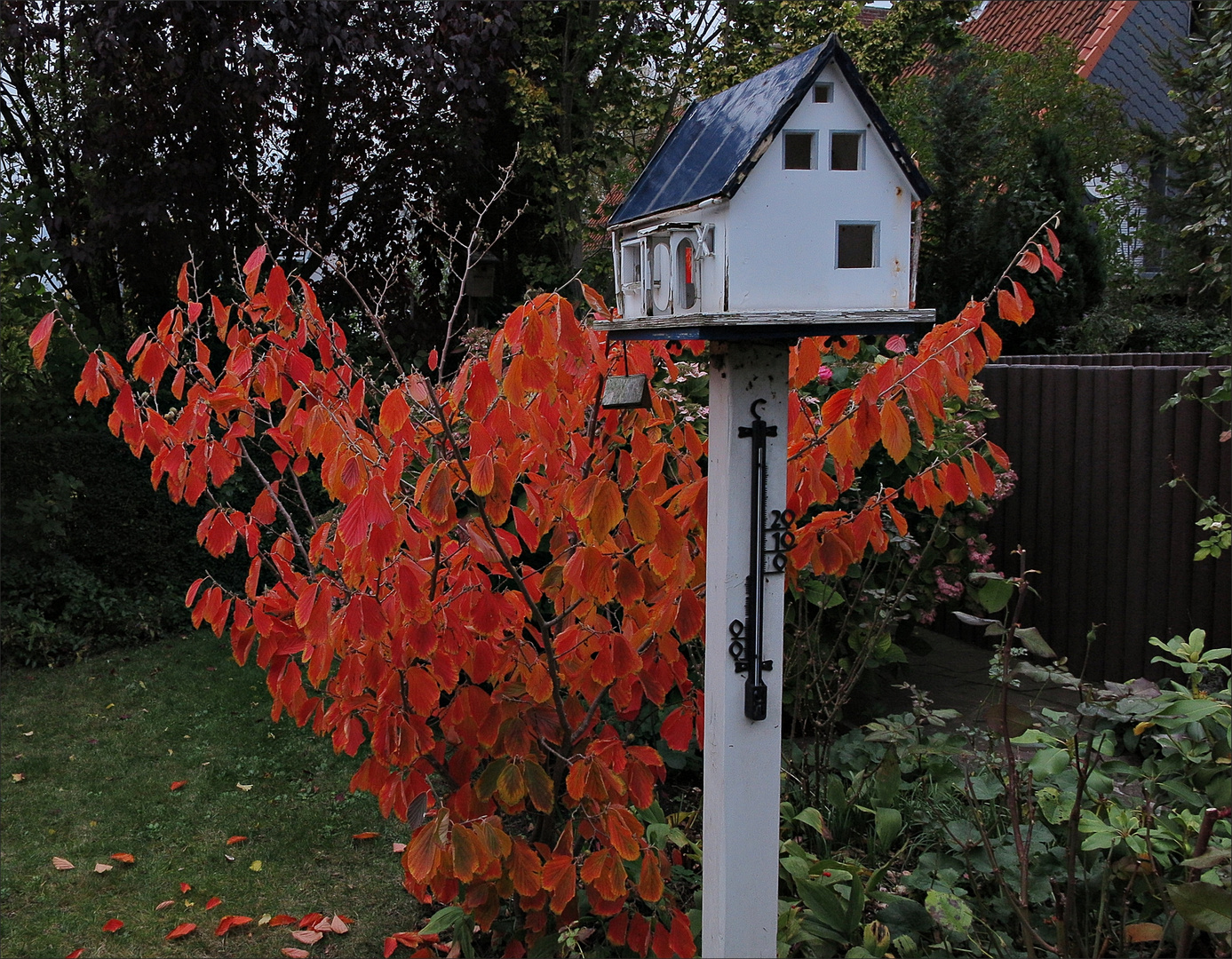 Noch "leuchtet" es im Garten...