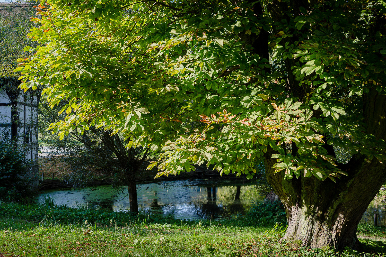 Noch liegt der Hofteich