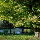 Noch liegt der Hofteich