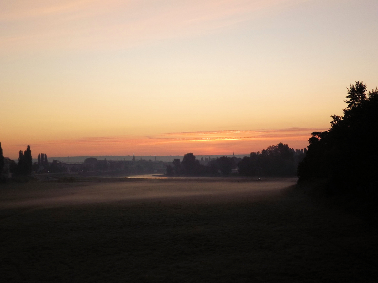 Noch liegt der Nebel über den Elbwiesen