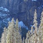  Noch liegt nur wenig Schnee bei uns in Kandersteg. - L'hiver est en train de venir.