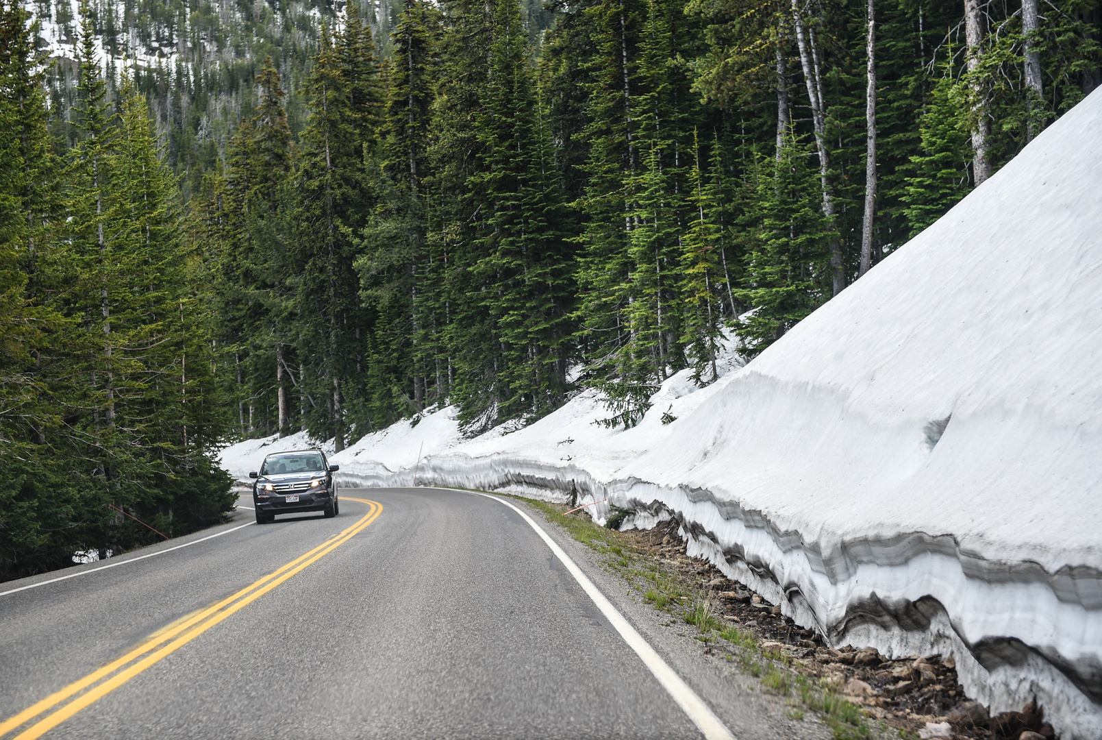 Noch liegt Schnee hier oben  am  8.Juni.                            DSC_3530-2