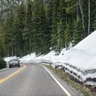 Noch liegt Schnee hier oben  am  8.Juni.                            DSC_3530-2