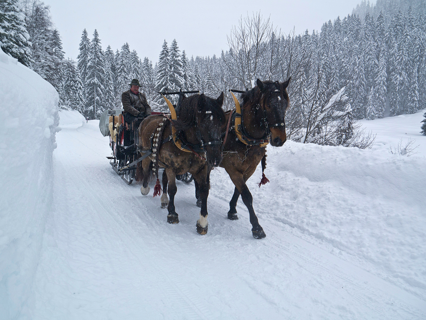 noch Lust auf Winter ???